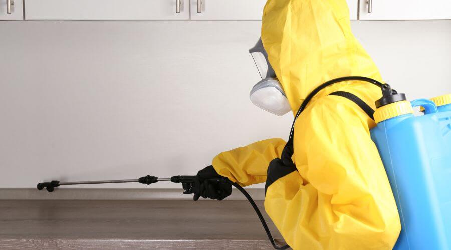 Professional pest control services in Grapevine